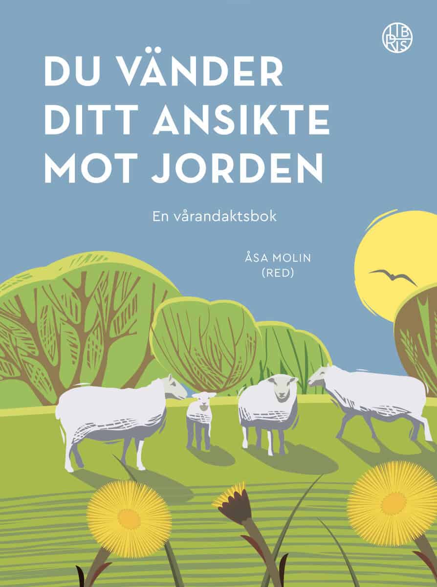 Åsa Molin : Du vänder ditt ansikte mot jorden