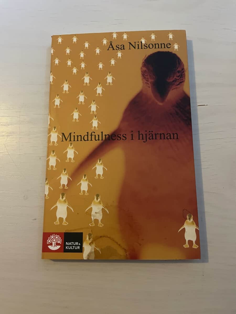 Åsa Nilsonne : Mindfulness i hjärnan