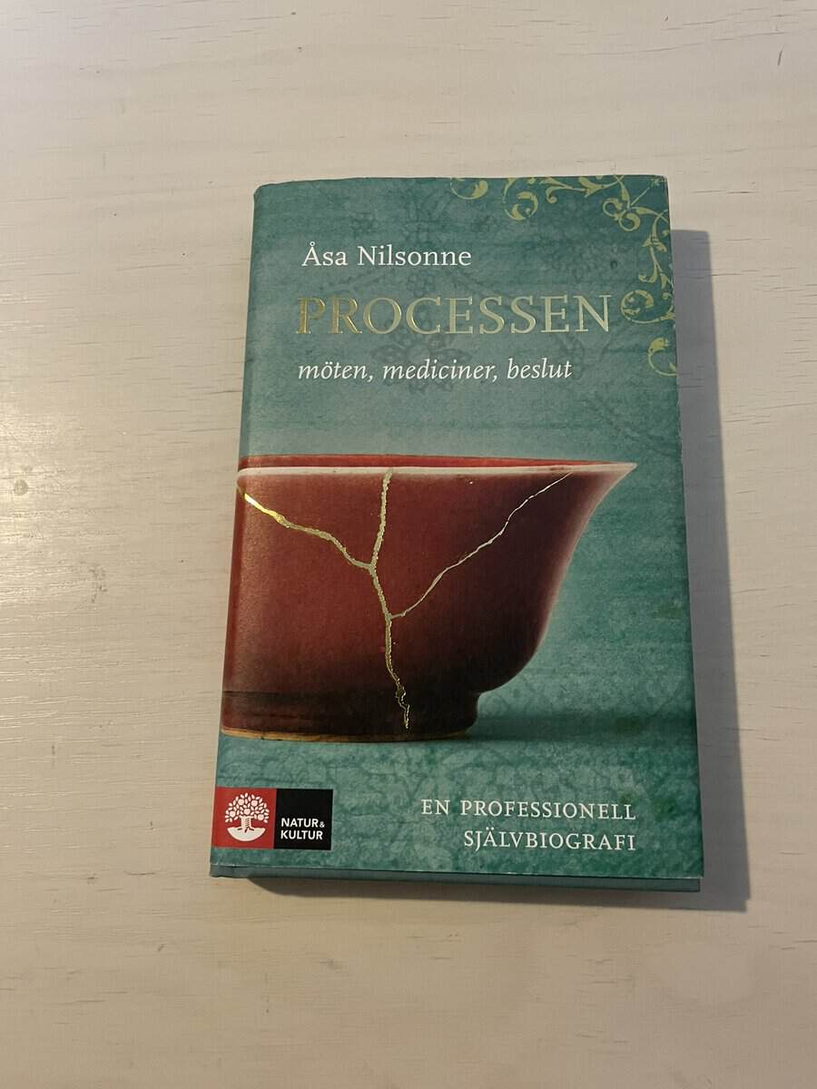 Åsa Nilsonne : Processen