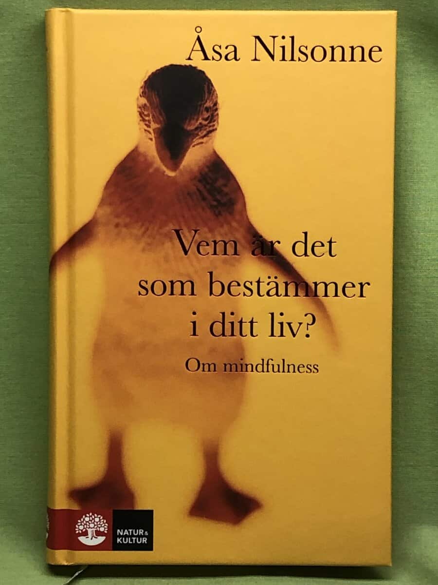 Åsa Nilsonne : Vem är det som bestämmer i ditt liv - om medveten närvaro