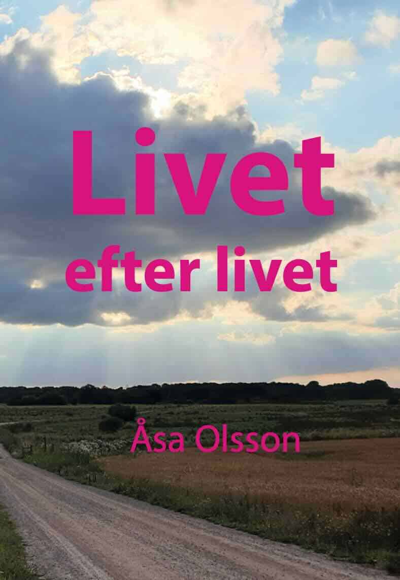 Åsa Olsson : Livet efter livet
