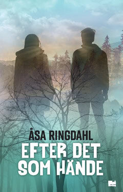 Åsa Ringdahl : Efter det som hände