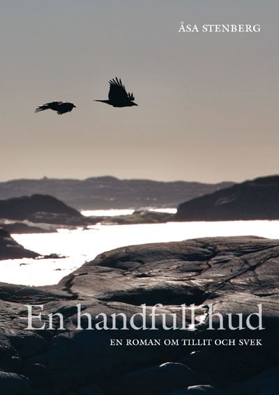 Åsa Stenberg : En handfull hud - En roman om tillit och svek