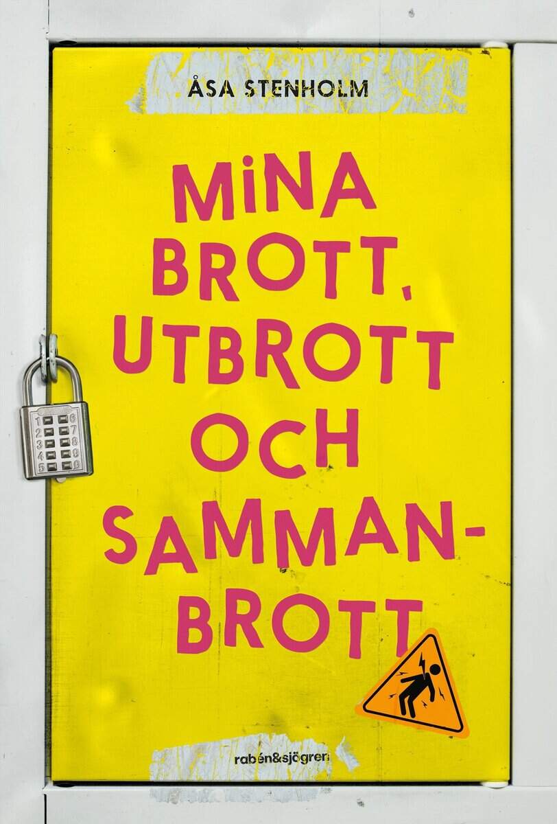 Åsa Stenholm : Mina brott, utbrott och sammanbrott