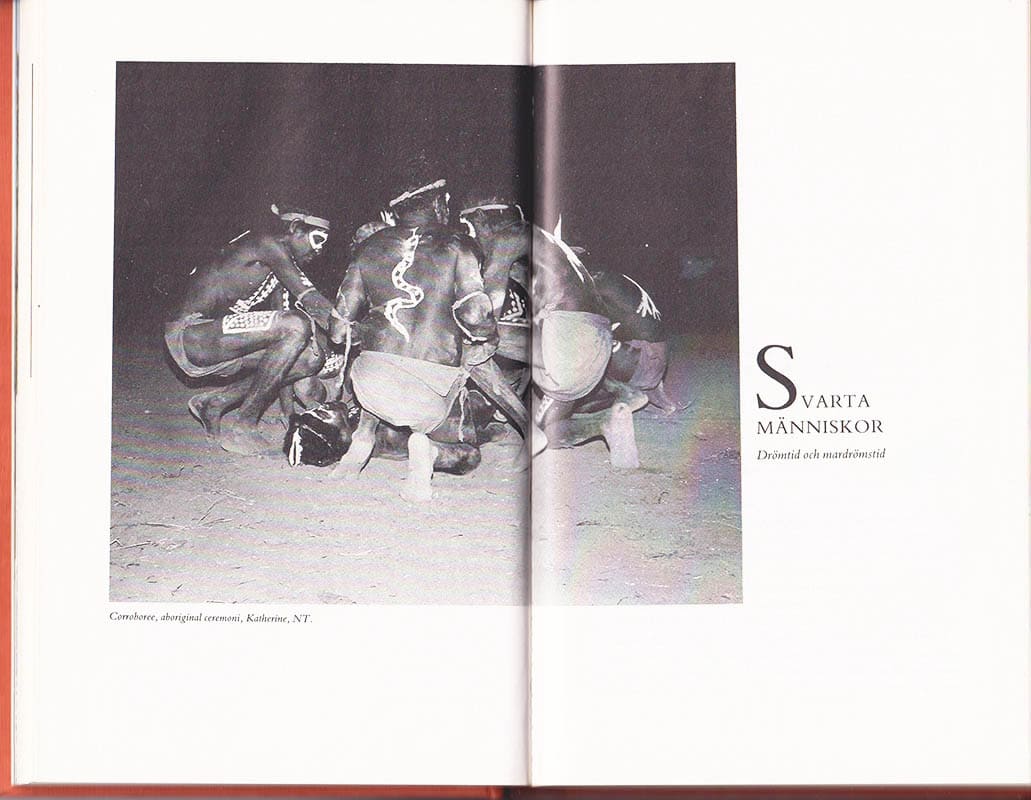 Åse Ottosson : Drömtidslandet