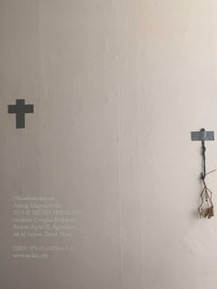 Áslaug Magnúsdóttir : Nóvemberkaktusinn