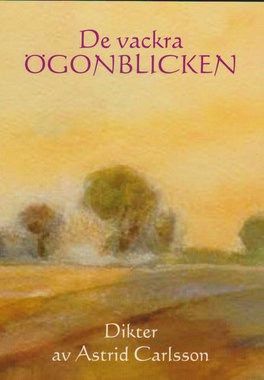 Astrid Carlsson : De vackra ögonblicken