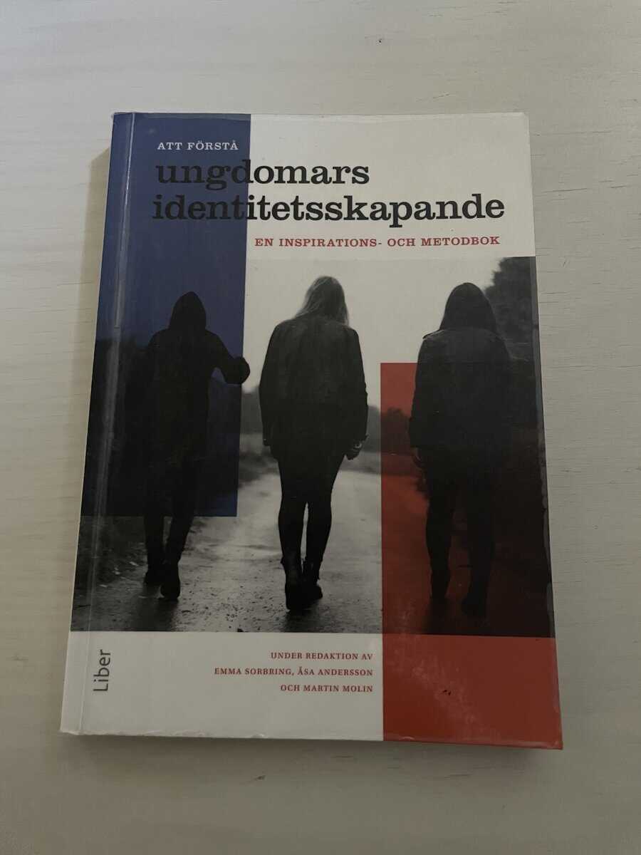 Att förstå ungdomars identitetsskapande