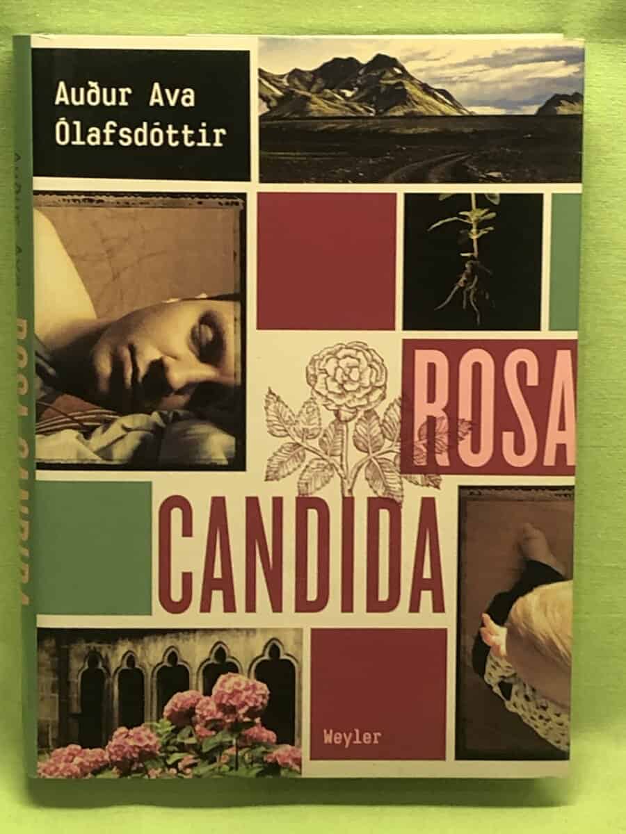 Auður Ava Ólafsdóttir : Rosa Candida