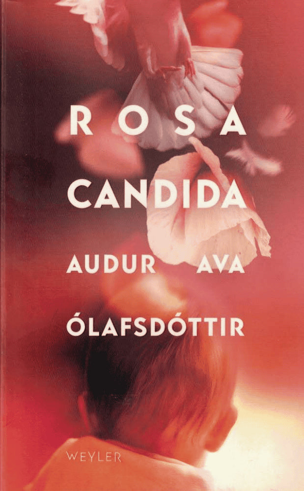 Auður Ava Ólafsdóttir : Rosa candida
