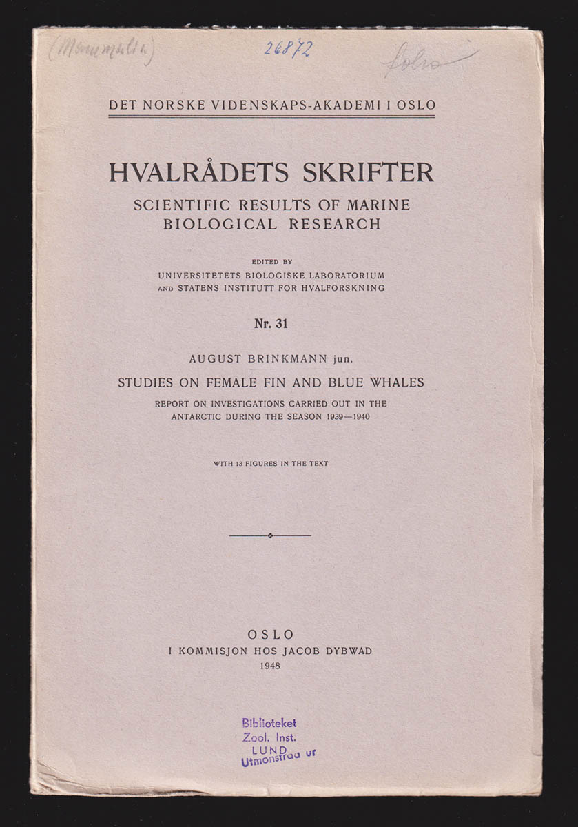 August Brinkmann : Studies on female fin and blue whales. Report on investigations carried out in the Antarctic during the season 1939-1940. With 13 Figures in the Text