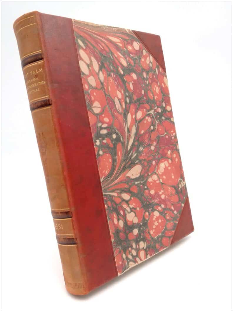 August Palm : Den svenska socialdemokratins banbrytare