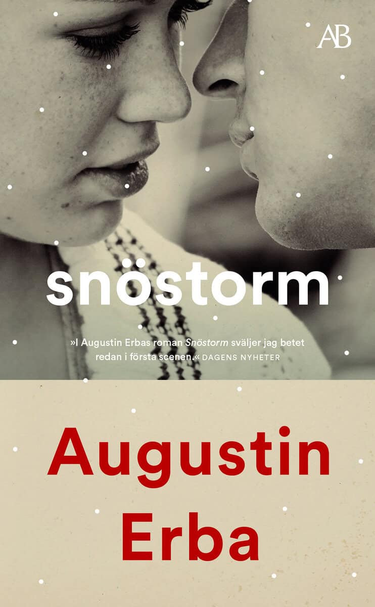 Augustin Erba : Snöstorm