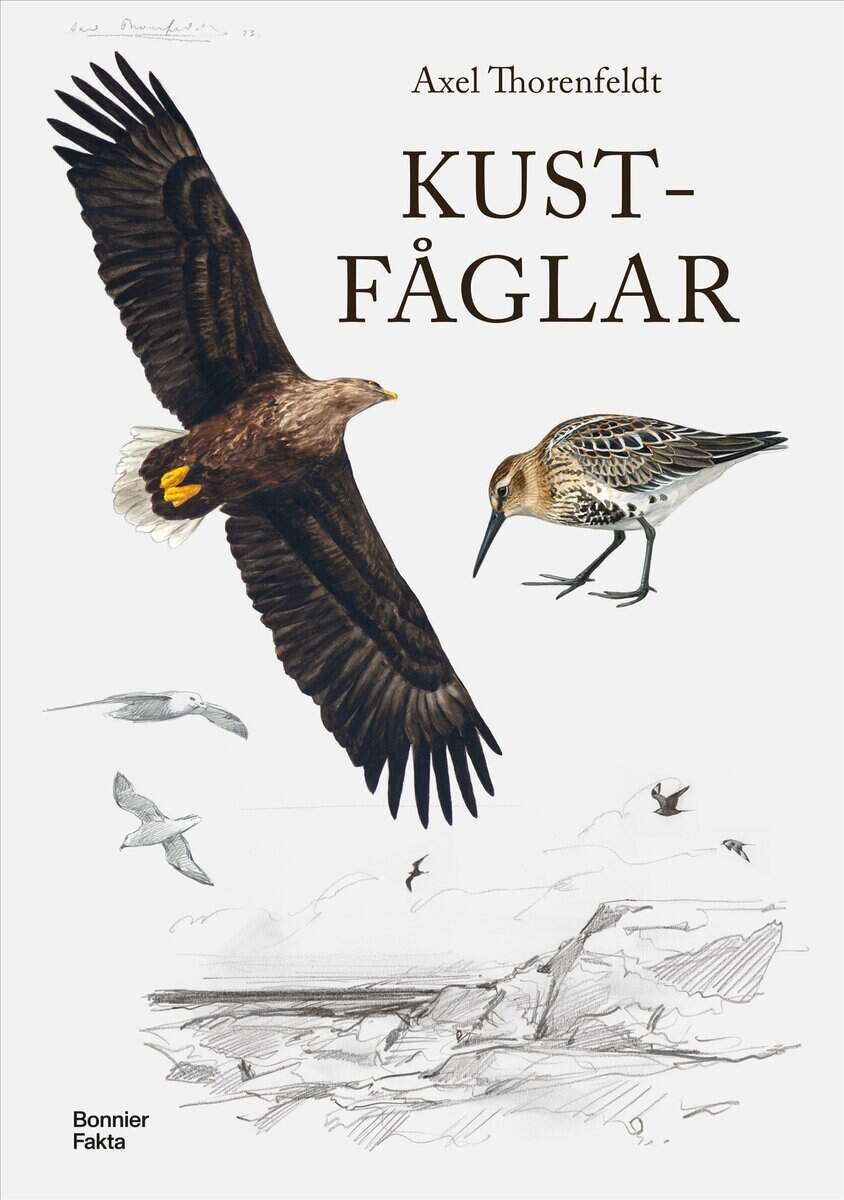 Axel Thorenfeldt : Kustfåglar