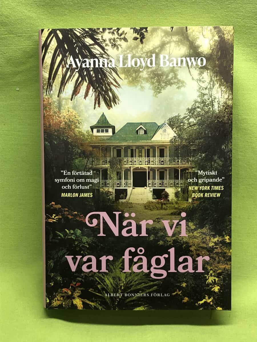 Ayanna Lloyd Banwo : När vi var fåglar