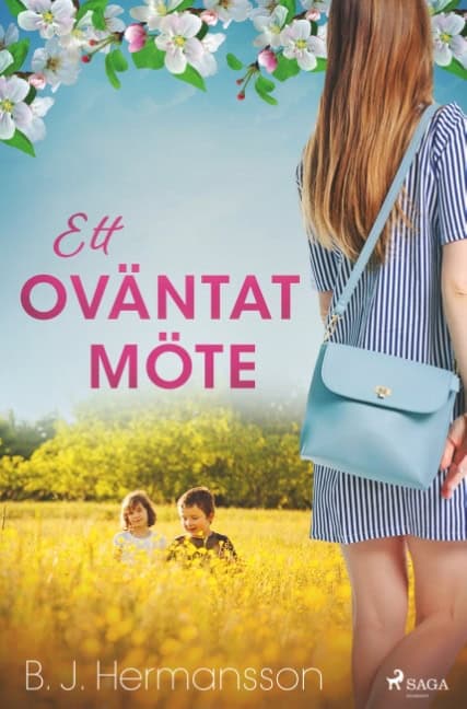 B. J. Hermansson : Ett oväntat möte