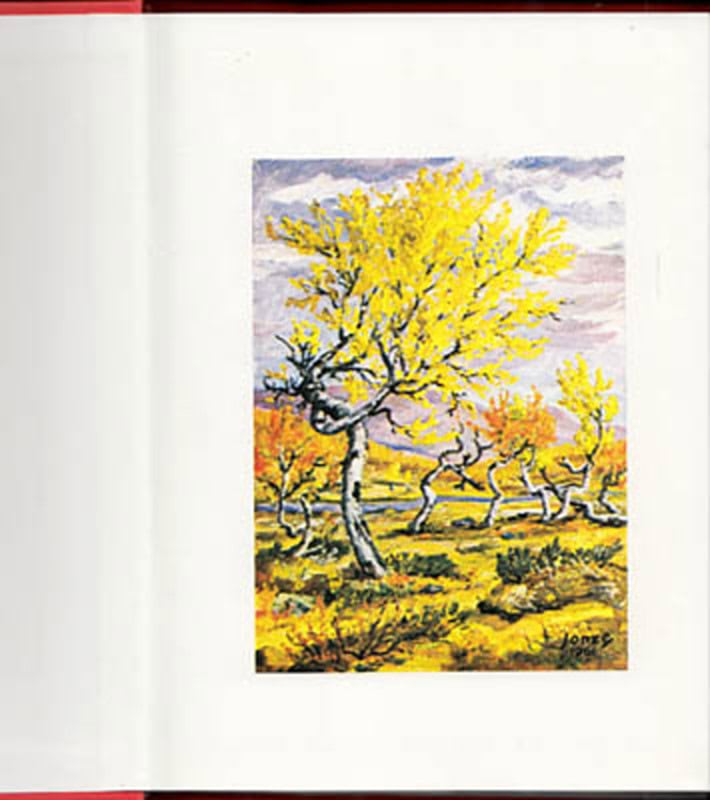 Backlund, Gunnel ; Fahlén, Kerstin et al (förord) : Jämtland i litteraturen