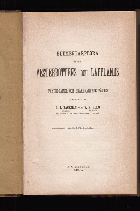 Backman, C. J. (Carl Johan, 1822-1898) ; Holm, V. F. (Viktor Ferdinand, 1834-1894) : Elementarflora öfver Vesterbottens och Lapplands fanerogamer och bräkenartade växter