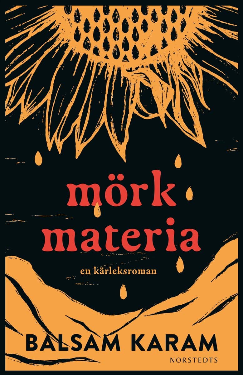 Balsam Karam : Mörk materia : En kärleksroman