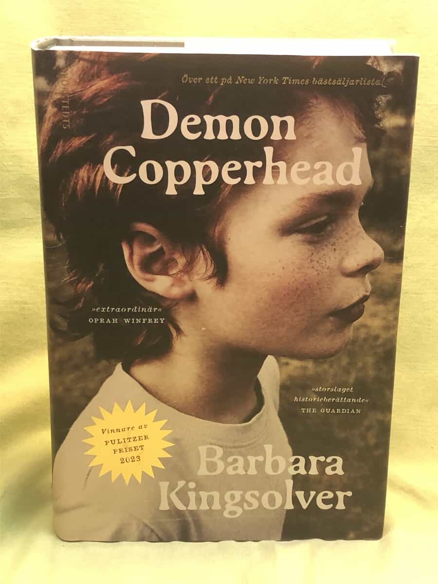 Barbara Kingsolver : Demon Copperhead