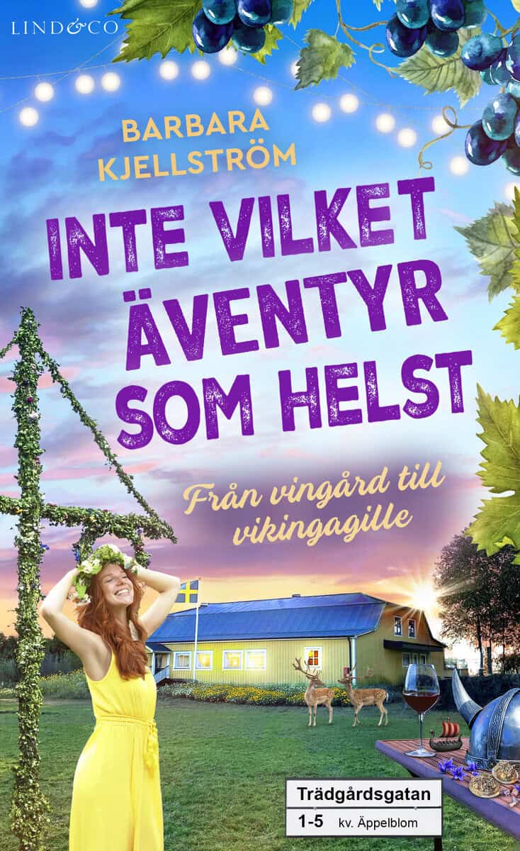 Barbara Kjellström : Inte vilket äventyr som helst