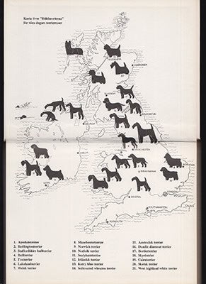 Barbro Eklund : Terrier