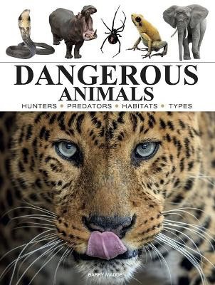 Barry Madden : Dangerous Animals