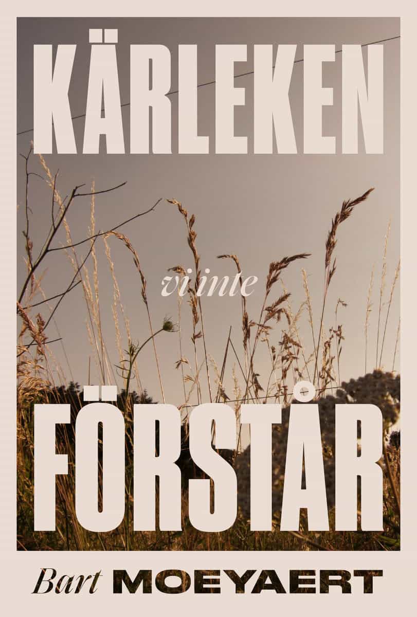 Bart Moeyaert : Kärleken vi inte förstår