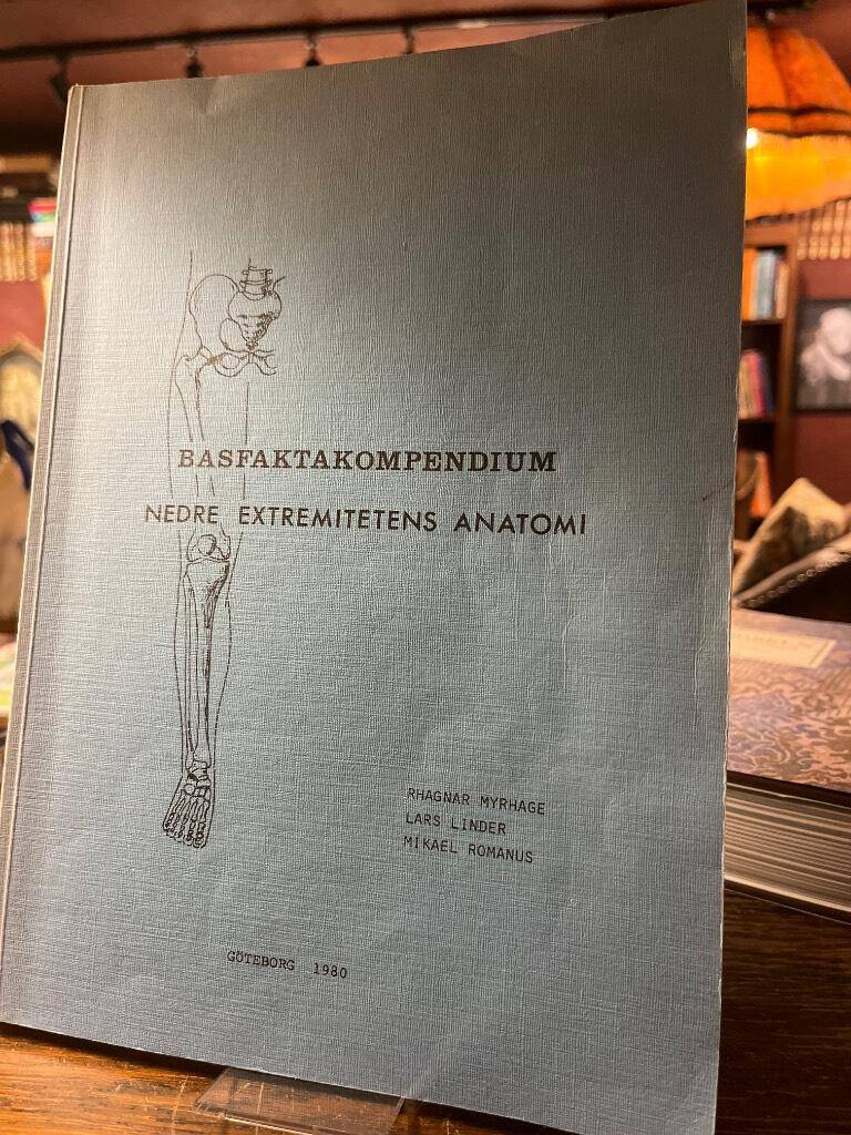 Basfaktakompendium nedre extremitetens anatomi