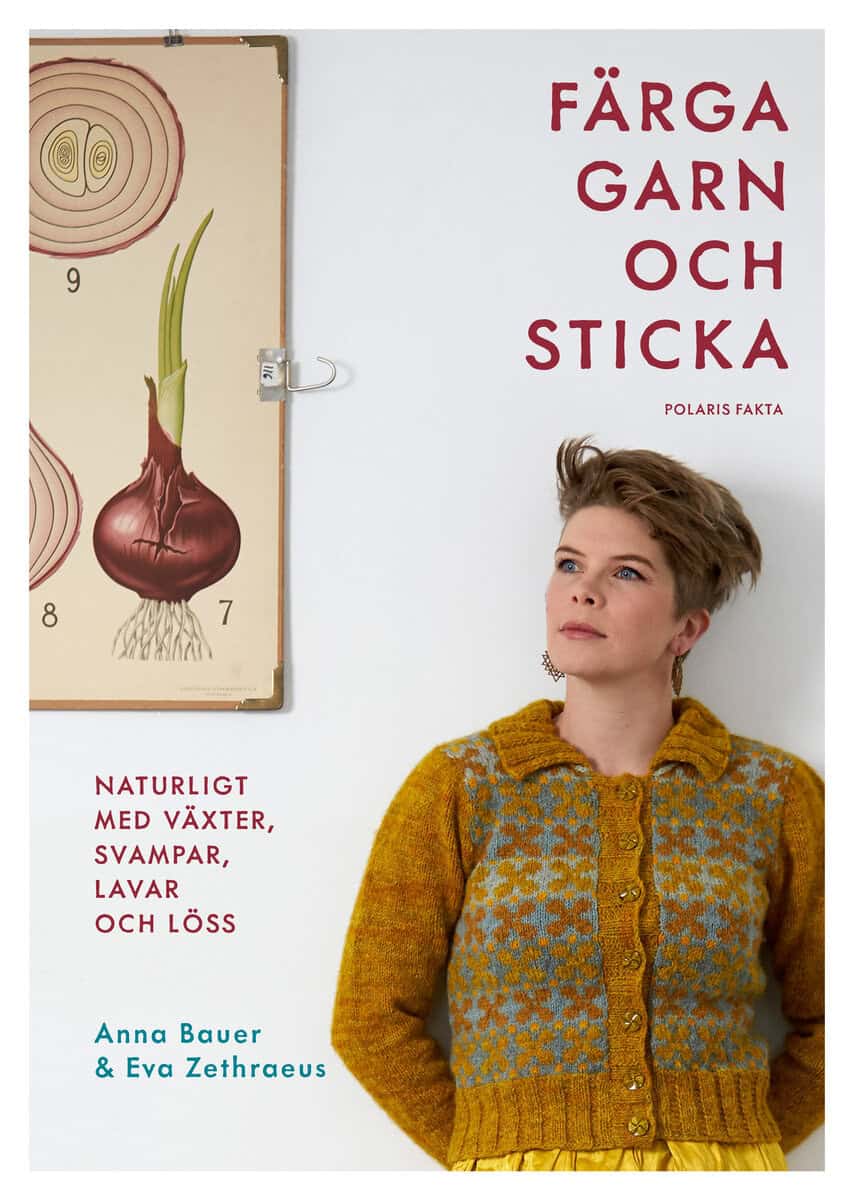 Bauer, Anna ; Zethraeus, Eva : Färga garn och sticka : naturligt med växter, svampar, lavar och löss