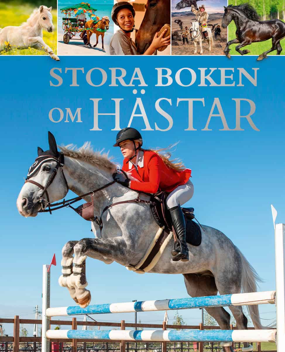 Becca Clunes : Stora boken om Hästar