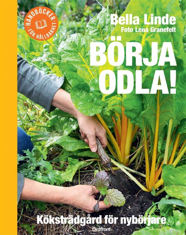 Bella Linde : Börja odla! Köksträdgård för nybörjare