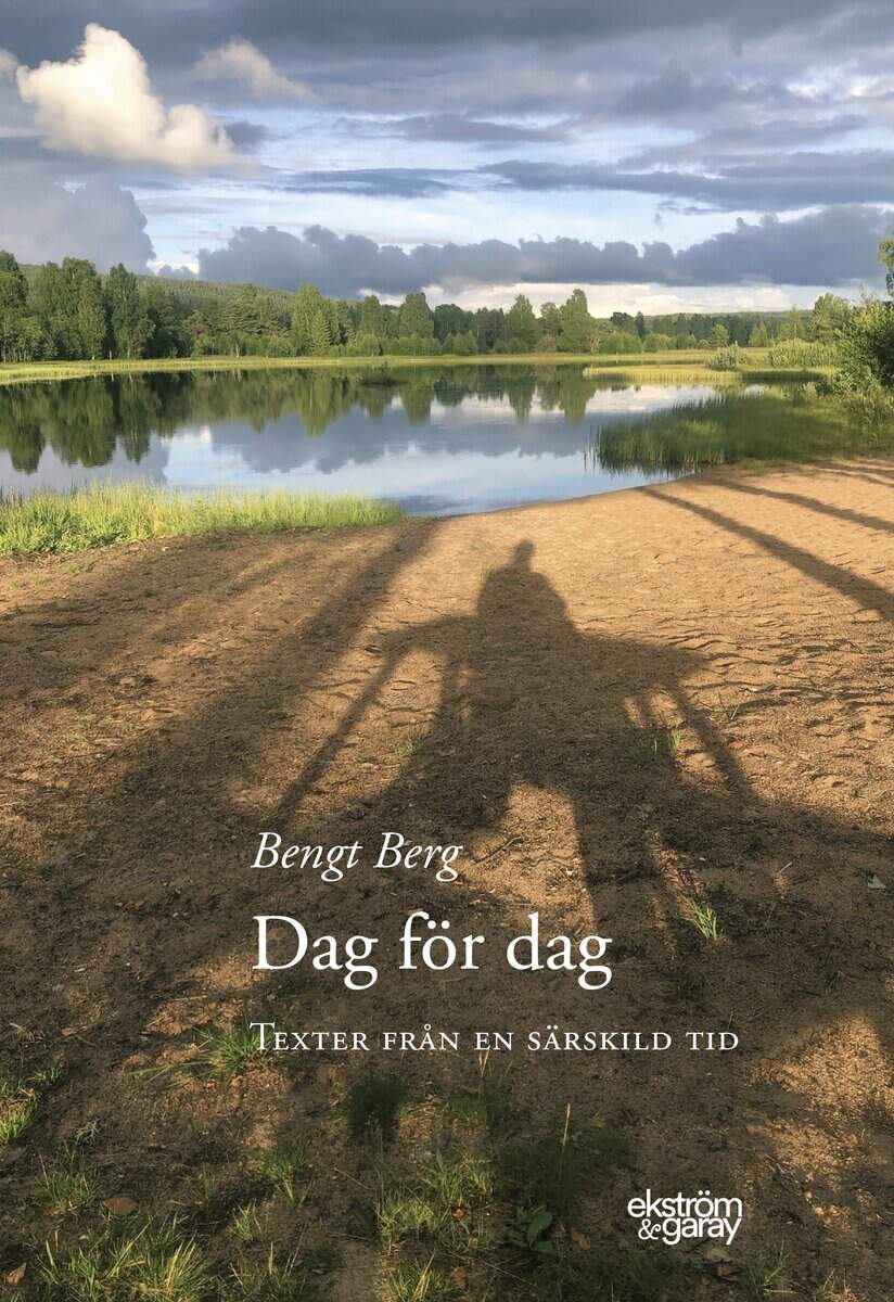 Bengt Berg : Dag för dag : texter från en särskild tid