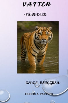 Bengt Berggren : Vatten