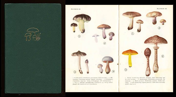 Bengt Cortin : Goda matsvampar med svenskt svamplexikon