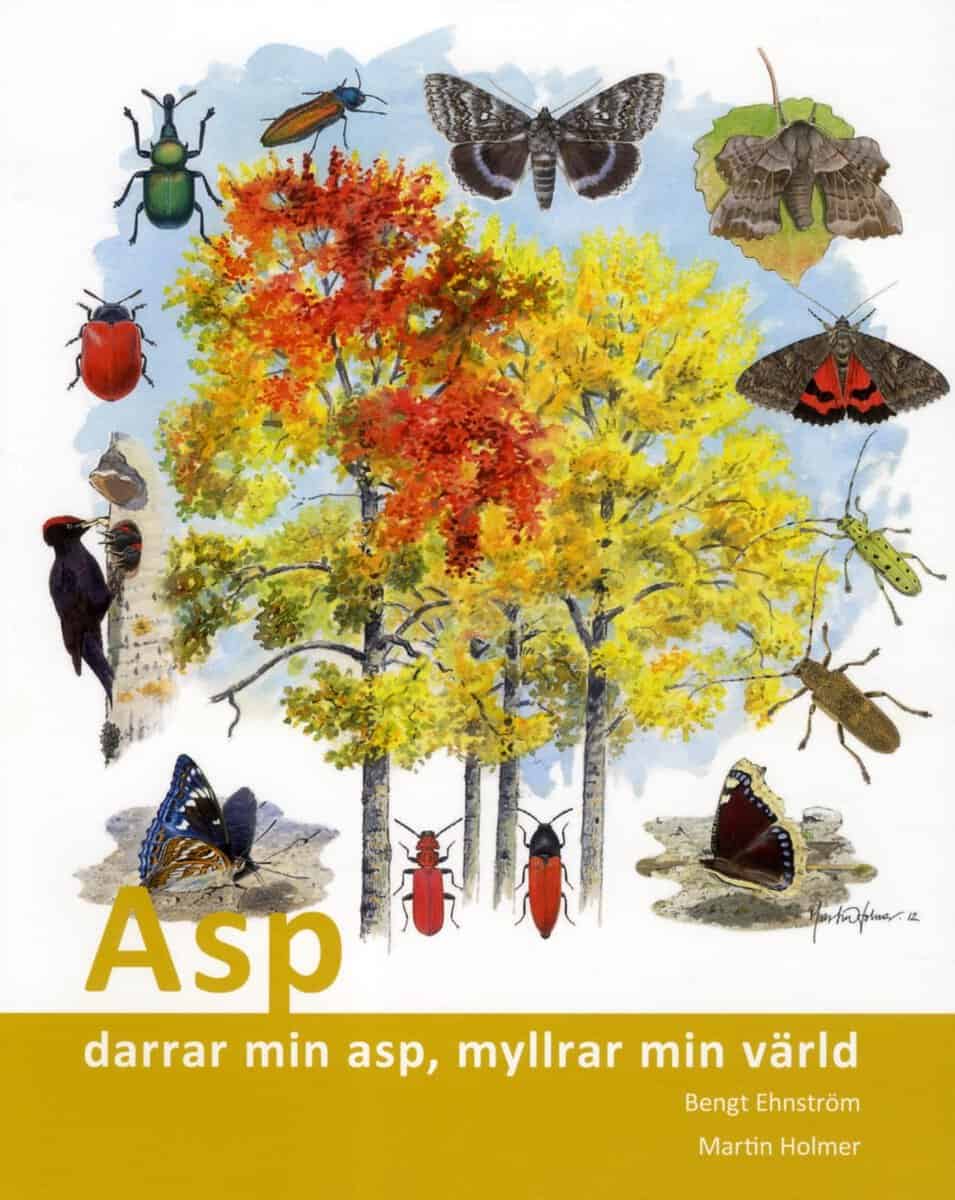 Bengt Ehnström : Asp : darrar min asp, myllrar min värld