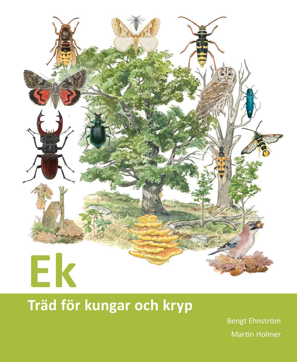 Bengt Ehnström : Ek : träd för kungar och kryp