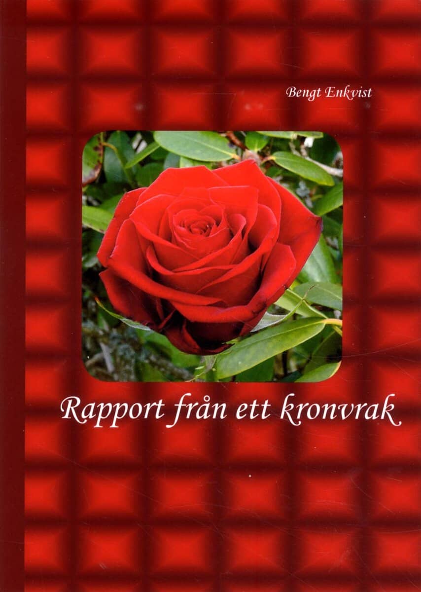 Bengt Enkvist : Rapport från ett kronvrak