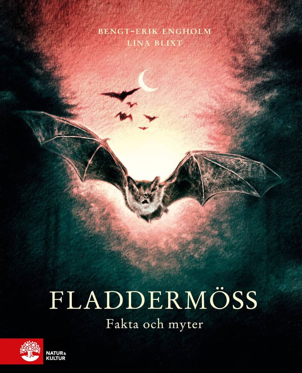Bengt-Erik Engholm : Fladdermöss : fakta och myter