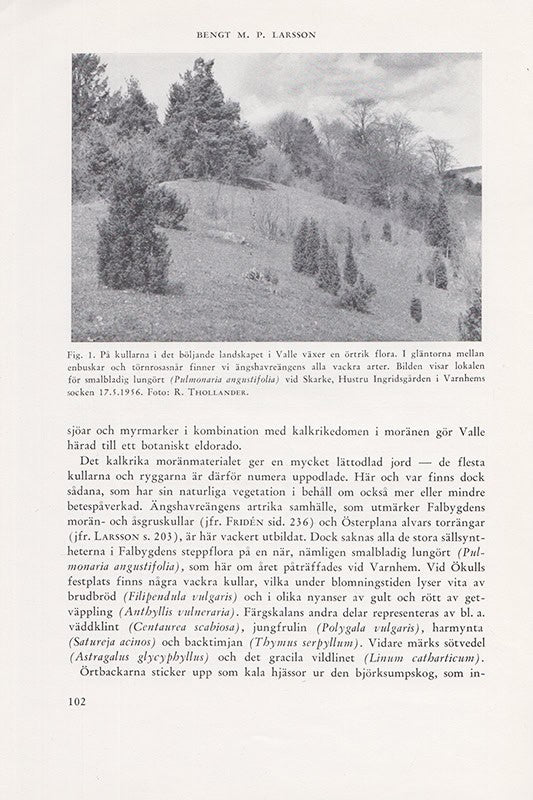 Bengt M. P. Larsson : Myrvegetation i Valle härad