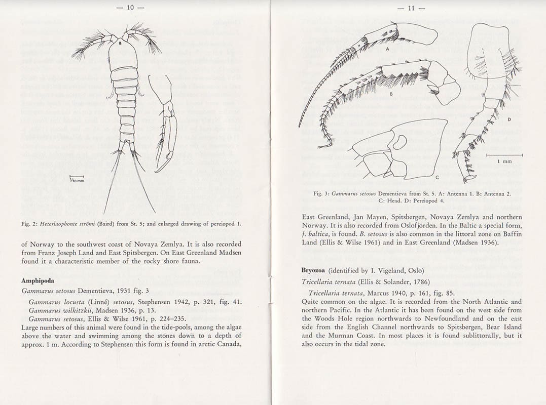 Bengt O. Christiansen : Notes of the littoral Fauna of Bear Island