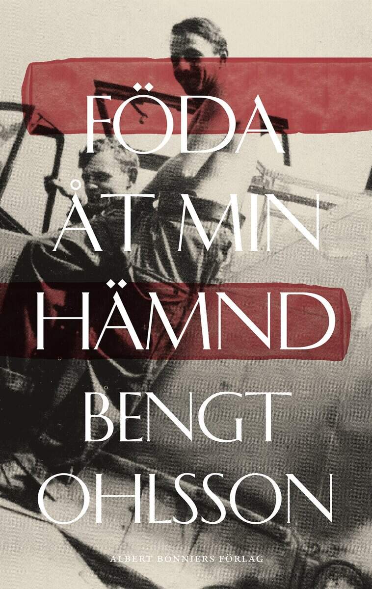 Bengt Ohlsson : Föda åt min hämnd