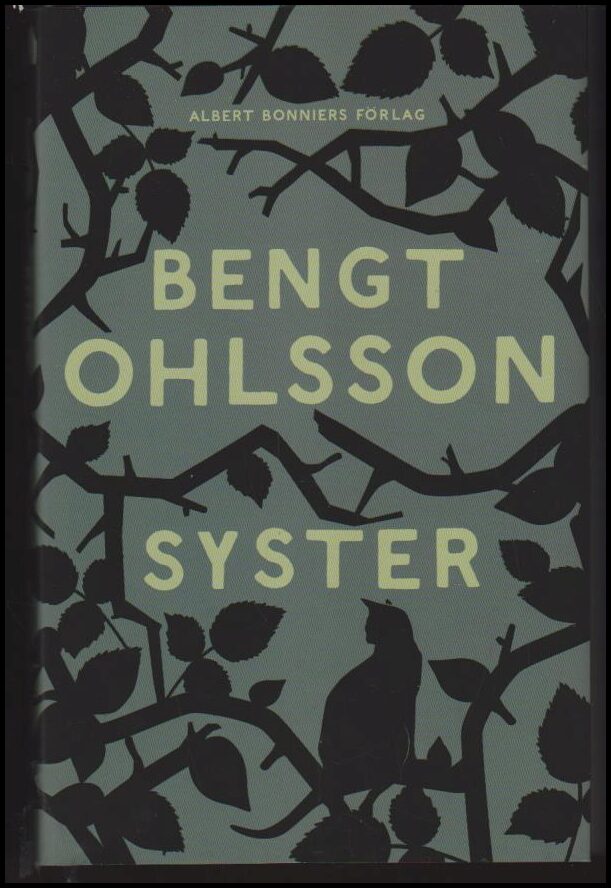 Bengt Ohlsson : Syster