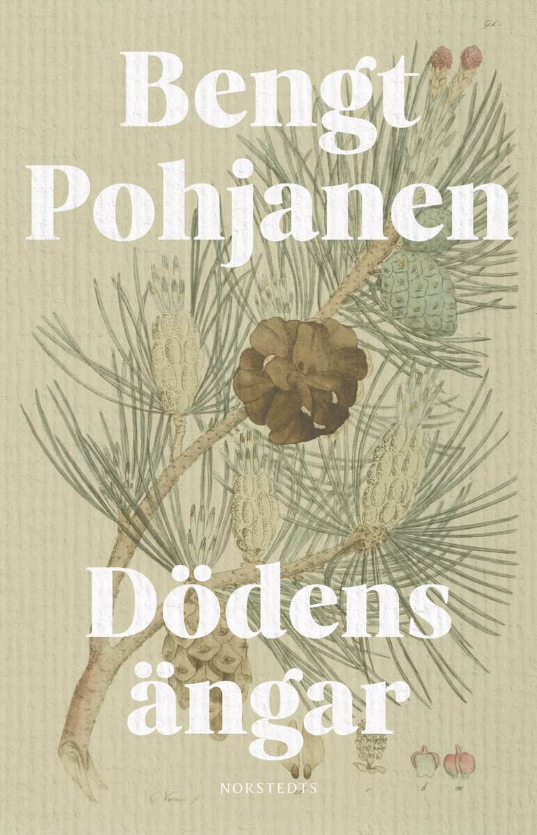 Bengt Pohjanen : Dödens ängar