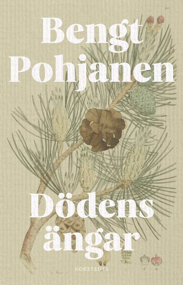 Bengt Pohjanen : Dödens ängar