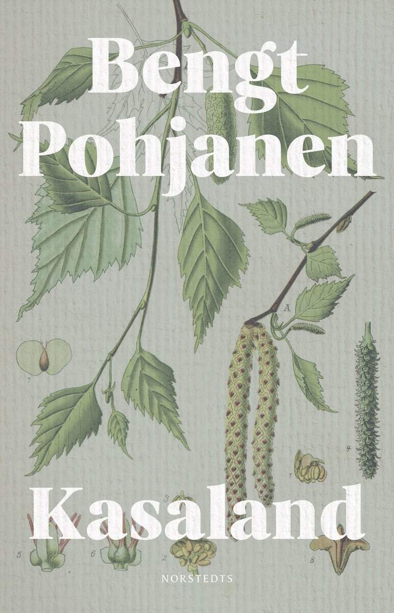Bengt Pohjanen : Kasaland