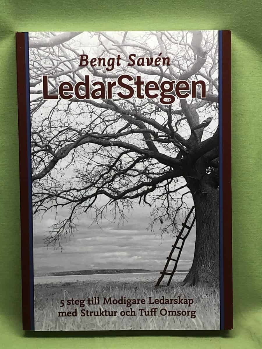 Bengt Savén : LedarStegen
