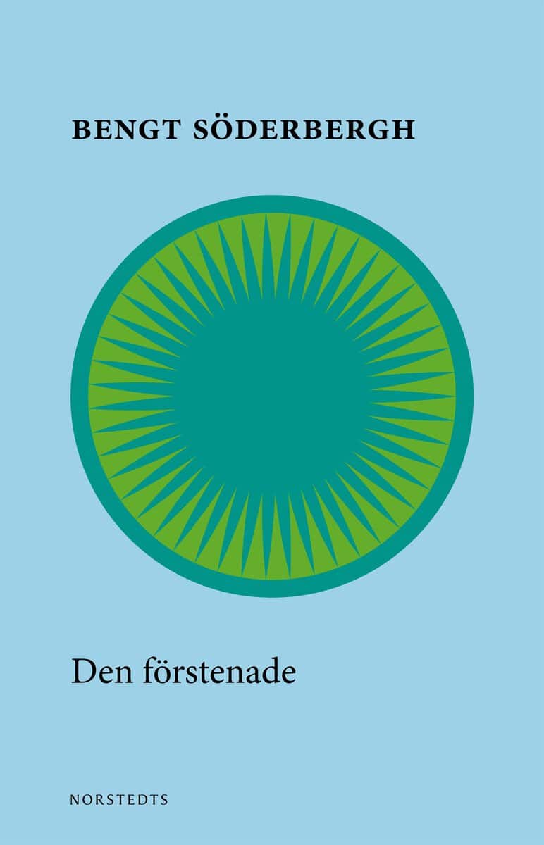 Bengt Söderbergh : Den förstenade