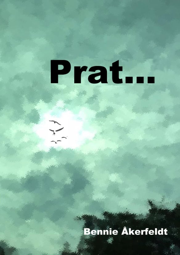 Bennie Åkerfeldt : Prat