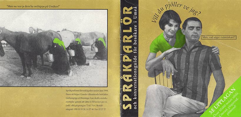 Benny Karlsson : Språkparlör och konversationsguide för besökare i Umeå. Vill du pjöller ve jag?